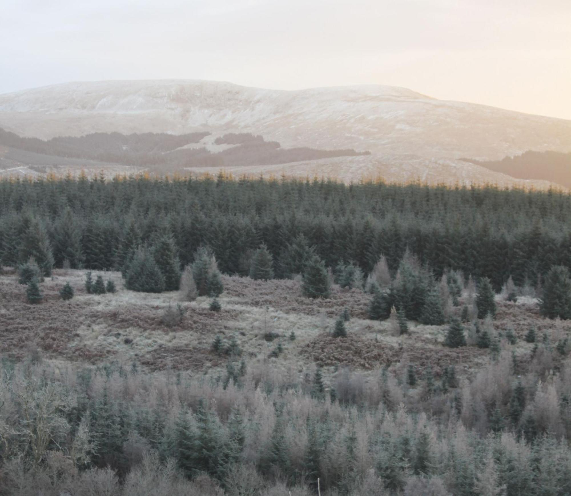 The Coorie Bargrennan Exterior foto